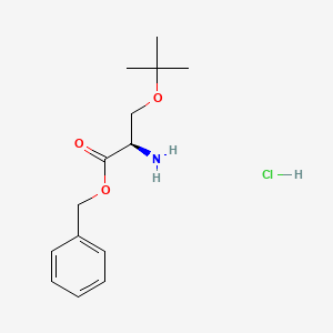 molecular formula C14H22ClNO3 B1383244 (R)-苯甲基 2-氨基-3-(叔丁氧基)丙酸盐盐酸盐 CAS No. 1998701-25-9