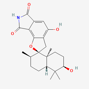 Chartarlactam A