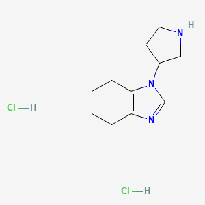 molecular formula C11H19Cl2N3 B1383276 1-(pyrrolidin-3-yl)-4,5,6,7-tetrahydro-1H-1,3-benzodiazole dihydrochloride CAS No. 1788641-20-2