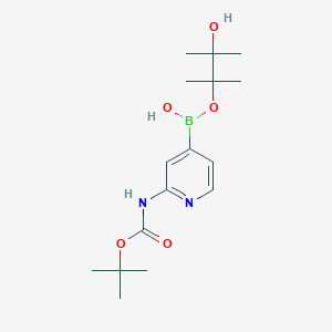 molecular formula C16H27BN2O5 B13832935 Boc-2-Aminopyridine-4-boronicacidpinacolester 