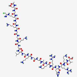 molecular formula C90H161ClN36O24 B13833027 (2S)-2-[[(2S)-2-[[(2S)-2-[[(2S)-2-[[(2S)-2-[[(2S)-2-[[(2S)-2-[[2-[[2-[[(2S)-2-[[2-[[(2S)-2-[[2-[[(2S)-2-[[2-[[2-[[(2S)-2-[[2-[[(2S)-2-[[2-[[(2S)-2-acetamido-3-hydroxypropanoyl]amino]acetyl]amino]-5-[(2-chloroethanimidoyl)amino]pentanoyl]amino]acetyl]amino]-6-aminohexanoyl]amino]acetyl]amino]acetyl]amino]-6-aminohexanoyl]amino]acetyl]amino]-4-methylpentanoyl]amino]acetyl]amino]-6-aminohexanoyl]amino]acetyl]amino]acetyl]amino]propanoyl]amino]-6-aminohexanoyl]amino]-5-carbamimidamidopentanoyl]amino]-3-(1H-imidazol-4-yl)propanoyl]amino]-5-carbamimidamidopentanoyl]amino]-6-aminohexanoyl]amino]-3-methylbutanoic acid 