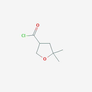 5,5-Dimethyloxolane-3-carbonyl chloride