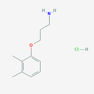B1383408 3-(2,3-Dimethylphenoxy)propan-1-amine hydrochloride CAS No. 1158603-34-9