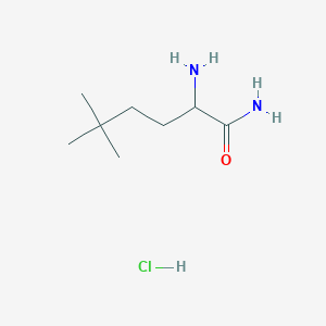 molecular formula C8H19ClN2O B1383453 2-Amino-5,5-dimethylhexanamide hydrochloride CAS No. 1786251-60-2