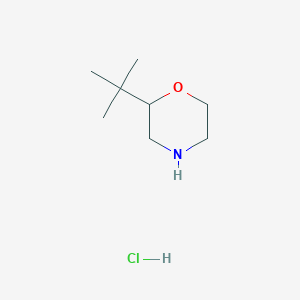 molecular formula C8H18ClNO B1383461 2-Tert-butylmorpholine hydrochloride CAS No. 1795506-03-4