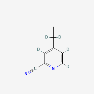 molecular formula C8H8N2 B13834638 4-Ethyl-2-pyridinecarbonitrile-d5 