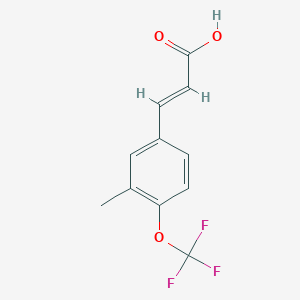 molecular formula C11H9F3O3 B1383515 3-[3-Methyl-4-(trifluoromethoxy)phenyl]prop-2-enoic acid CAS No. 1262019-38-4