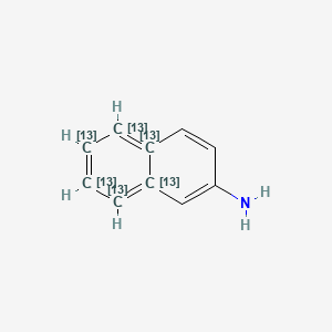 molecular formula C10H9N B13835676 2-Naphthylamine-13C6 