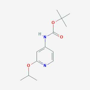 molecular formula C13H20N2O3 B1383615 tert-butyl N-[2-(propan-2-yloxy)pyridin-4-yl]carbamate CAS No. 1936610-26-2