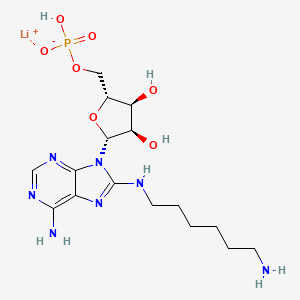 8-(6-Aminohexyl)aminoadenosine-5-monoph osphate li