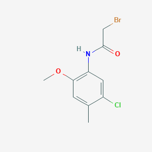 molecular formula C10H11BrClNO2 B1383674 2-溴-N-(5-氯-2-甲氧基-4-甲基苯基)乙酰胺 CAS No. 2096987-41-4
