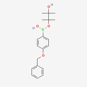 molecular formula C19H25BO4 B13836810 4-(Benzyloxy)phenylboronic acid pinacol ester 