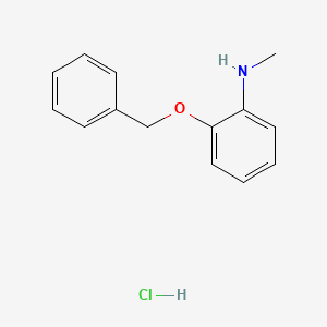 molecular formula C14H16ClNO B1383694 2-(benzyloxy)-N-methylaniline hydrochloride CAS No. 2060047-72-3