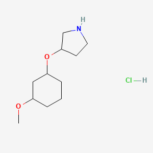 molecular formula C11H22ClNO2 B1383695 3-[(3-Methoxycyclohexyl)oxy]pyrrolidine hydrochloride CAS No. 2060043-42-5
