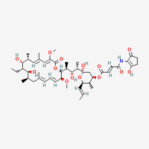 molecular formula C48H71NO14 B13837373 [(2R,4R,5S,6R)-2-[(2S,3R,4S)-4-[(2R,3S,4E,6E,9R,10S,11S,12R,13R,14E,16Z)-11-ethyl-10,12-dihydroxy-3,17-dimethoxy-7,9,13,15-tetramethyl-18-oxo-1-oxacyclooctadeca-4,6,14,16-tetraen-2-yl]-3-hydroxypentan-2-yl]-2-hydroxy-5-methyl-6-[(E)-prop-1-enyl]oxan-4-yl] (E)-4-[(2-hydroxy-5-oxocyclopenten-1-yl)amino]-4-oxobut-2-enoate 