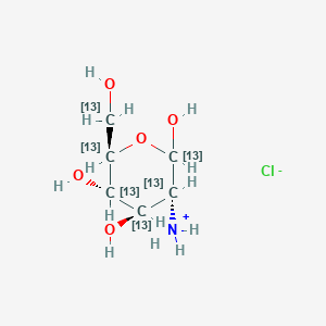 molecular formula C6H14ClNO5 B13837759 D-[UL-13C6]Glucosamine Hydrochloride 