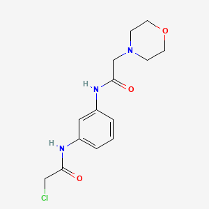 molecular formula C14H18ClN3O3 B1383809 2-氯-N-{3-[(吗啉-4-基乙酰)氨基]苯基}乙酰胺 CAS No. 2173136-62-2