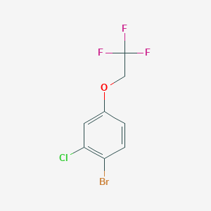 molecular formula C8H5BrClF3O B1383908 1-Bromo-2-chloro-4-(2,2,2-trifluoroethoxy)benzene CAS No. 1934433-57-4