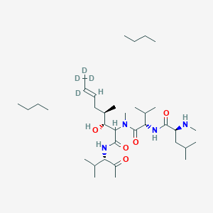 molecular formula C36H72N4O5 B13839926 Cyclosporin D-d4 