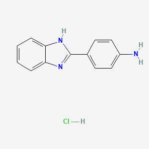 B1384010 4-(1h-Benzimidazol-2-yl)benzenamine hydrochloride CAS No. 60837-27-6