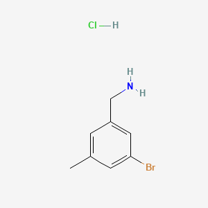 molecular formula C8H11BrClN B1384028 (3-溴-5-甲基苯基)甲胺盐酸盐 CAS No. 1646570-05-9