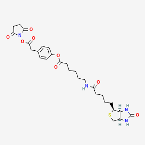 molecular formula C28H36N4O8S B13840724 [4-[2-(2,5-dioxopyrrolidin-1-yl)oxy-2-oxoethyl]phenyl] 6-[5-[(3aS,4S,6aR)-2-oxo-1,3,3a,4,6,6a-hexahydrothieno[3,4-d]imidazol-4-yl]pentanoylamino]hexanoate 