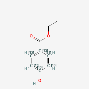 Propyl Paraben-13C6