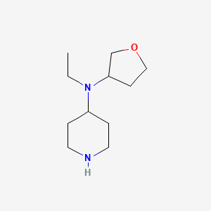 molecular formula C11H22N2O B13842203 N-ethyl-N-(tetrahydrofuran-3-yl)piperidin-4-amine 