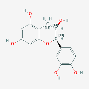 (-)-Epicatechin-13C3