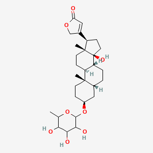 molecular formula C29H44O8 B13842551 3-[(3S,5R,8R,9S,10S,13R,14S,17R)-14-hydroxy-10,13-dimethyl-3-(3,4,5-trihydroxy-6-methyloxan-2-yl)oxy-1,2,3,4,5,6,7,8,9,11,12,15,16,17-tetradecahydrocyclopenta[a]phenanthren-17-yl]-2H-furan-5-one 