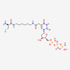 molecular formula C20H36N5O16P3S B13843311 5-[2-[[6-[[(2R)-2-Amino-3-mercapto-1-oxopropyl]amino]hexyl]amino]-2-oxoethyl]-2'-deoxy-uridine 5'-(tetrahydrogen triphosphate) 