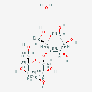 molecular formula C12H24O12 B13843350 D-(+)-Maltose monohydrate-UL-13C12 