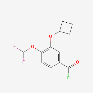 molecular formula C12H11ClF2O3 B13843509 3-Cyclobutoxy-4-(difluoromethoxy)benzoyl Chloride 