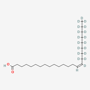 molecular formula C24H46O2 B13845249 Nervonic acid-D18 