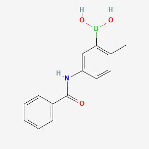 molecular formula C14H14BNO3 B13845961 (5-Benzamido-2-methylphenyl)boronic acid 