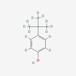 molecular formula C10H14O B13846825 4-Tert-butyl-D9-phenol-2,3,5,6-D4 