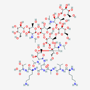 molecular formula C90H155N13O54 B1384745 (2S,3R)-2-[[(2S)-2-[[(2S)-4-[[(2R,3R,4R,5S,6R)-3-乙酰氨基-5-[(2S,3R,4R,5S,6R)-3-乙酰氨基-5-[(2S,3S,4S,5R,6R)-4-[(2S,3S,4S,5S,6R)-3-[(2S,3R,4R,5S,6R)-3-乙酰氨基-4-羟基-6-(羟甲基)-5-[(2S,3R,4S,5R,6R)-3,4,5-三羟基-6-(羟甲基)氧杂环-2-基]氧氧杂环-2-基]氧-4,5-二羟基-6-(羟甲基)氧杂环-2-基]氧-6-[[(2S,3S,4S,5S,6R)-3-[(2S,3R,4R,5S,6R)-3-乙酰氨基-4-羟基-6-(羟甲基)-5-[(2S,3R,4S,5R,6R)-3,4,5-三羟基-6-(羟甲基)氧杂环-2-基]氧氧杂环-2-基]氧-4,5-二羟基-6-(羟甲基)氧杂环-2-基]氧甲基]-3,5-二羟基氧杂环-2-基]氧-4-羟基-6-(羟甲基)氧杂环-2-基]氧-4-羟基-6-(羟甲基)氧杂环-2-基]氨基]-2-[[(2S)-2-[[(2S)-2-[[(2S)-2,6-二氨基己酰基]氨基]-3-甲基丁酰基]氨基]丙酰基]氨基]-4-氧代丁酰基]氨基]-6-氨基己酰基]氨基]-3-羟基丁酸 CAS No. 361443-81-4