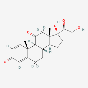 Prednisone-d7 (Major)