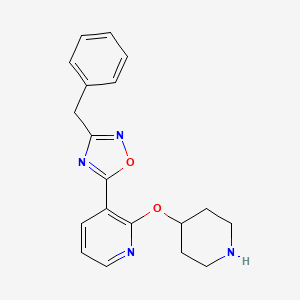 3-Benzyl-5-(2-piperidin-4-yloxypyridin-3-yl)-1,2,4-oxadiazole