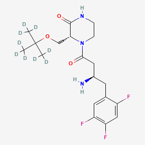 molecular formula C19H26F3N3O3 B13849763 Evogliptin-d9 