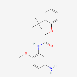 molecular formula C19H24N2O3 B1384985 N-(5-Amino-2-methoxyphenyl)-2-[2-(tert-butyl)-phenoxy]acetamide CAS No. 1020056-23-8