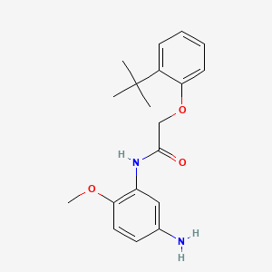 molecular formula C19H24N2O3 B1384985 N-(5-氨基-2-甲氧基苯基)-2-[2-(叔丁基)-苯氧基]乙酰胺 CAS No. 1020056-23-8