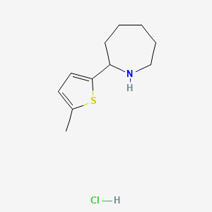 molecular formula C11H18ClNS B13849895 2-(5-Methyl-2-thienyl)azepane-Hydrochloride 