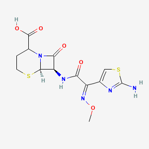 Octane Ceftizoxime