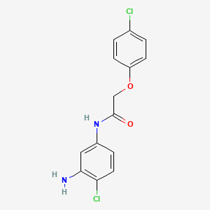 molecular formula C14H12Cl2N2O2 B1385071 N-(3-氨基-4-氯苯基)-2-(4-氯苯氧基)-乙酰胺 CAS No. 1020058-41-6
