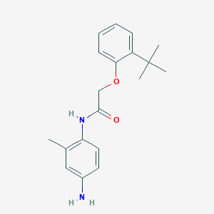 molecular formula C19H24N2O2 B1385089 N-(4-氨基-2-甲基苯基)-2-[2-(叔丁基)-苯氧基]乙酰胺 CAS No. 1020058-13-2