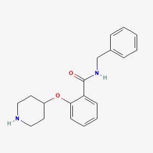 N-benzyl-2-piperidin-4-yloxybenzamide