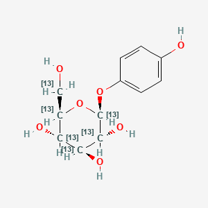 Arbutin-13C6