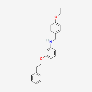 molecular formula C23H25NO2 B1385170 N-(4-乙氧基苄基)-3-(苯乙氧基)苯胺 CAS No. 1040682-09-4