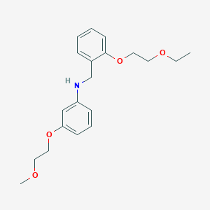 B1385203 N-[2-(2-Ethoxyethoxy)benzyl]-3-(2-methoxyethoxy)aniline CAS No. 1040686-67-6